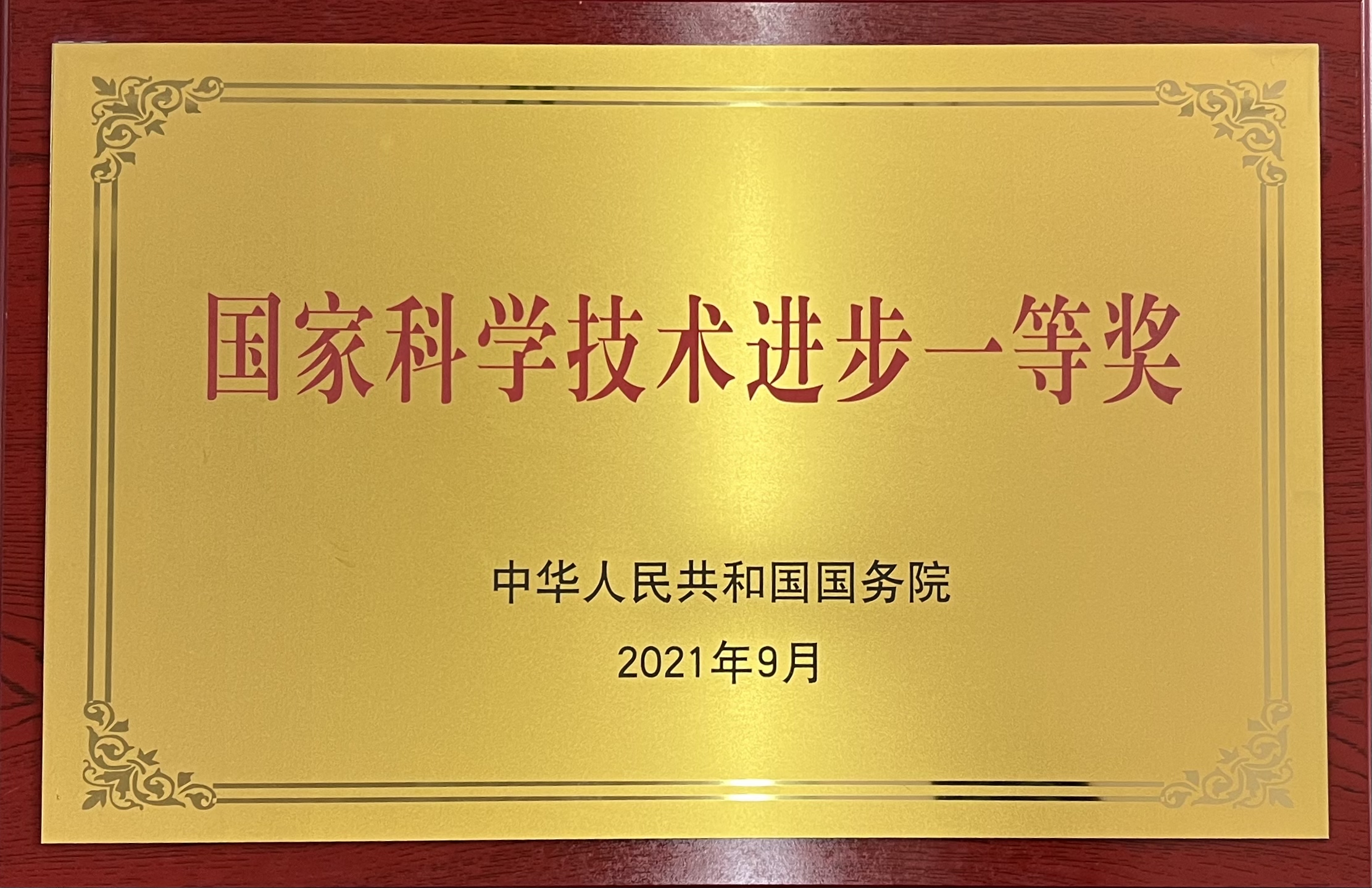       科学技术进步奖一等奖